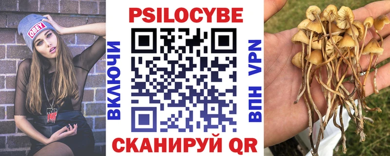 ОМГ ОМГ рабочий сайт  продажа наркотиков  Новая Ладога  Псилоцибиновые грибы MAGIC MUSHROOMS 
