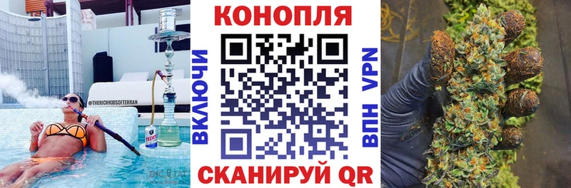 Марихуана VHQ Новая Ладога